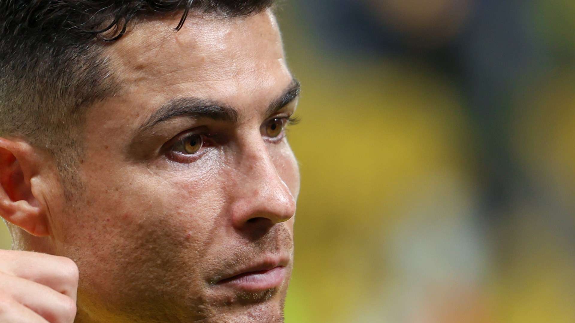 区旅游业 区旅游业